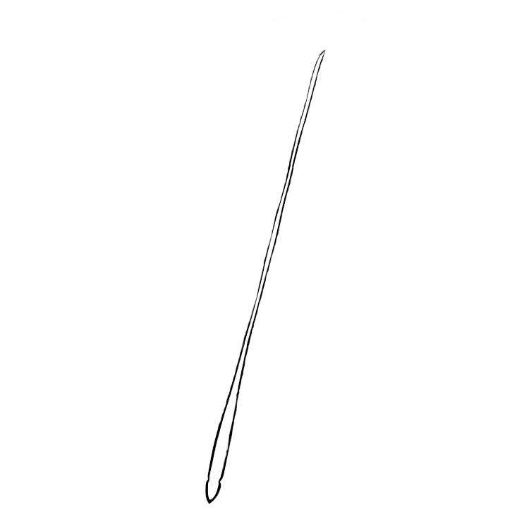 How to draw a feather