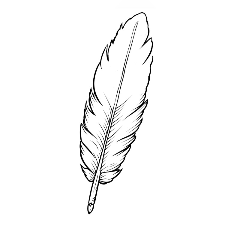 How to draw a feather