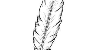 How to draw a feather