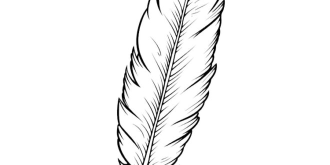 How to draw a feather