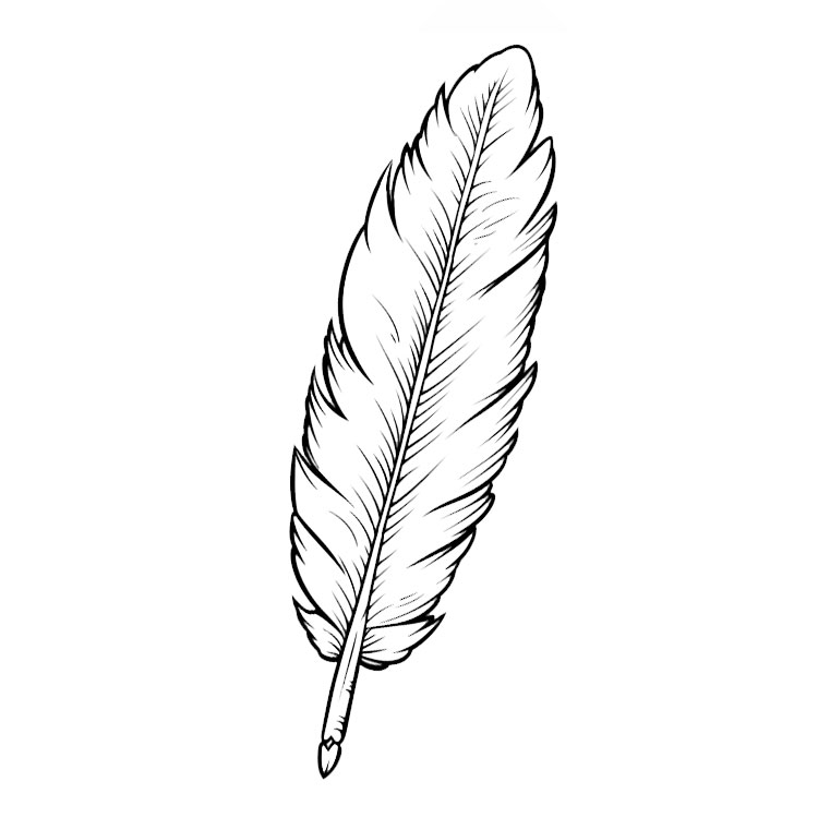 How to draw a feather
