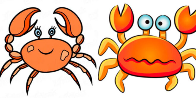 How to draw a crab