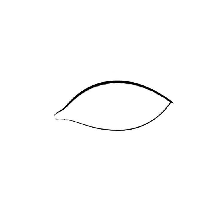 How to draw an eye