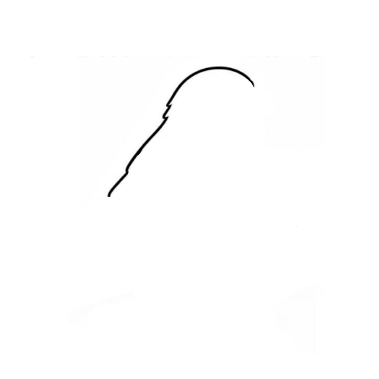 How to draw a parrot