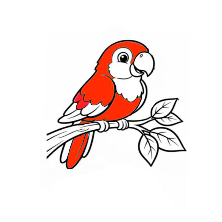 How to draw a parrot
