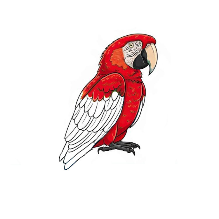 How to draw a parrot realistic