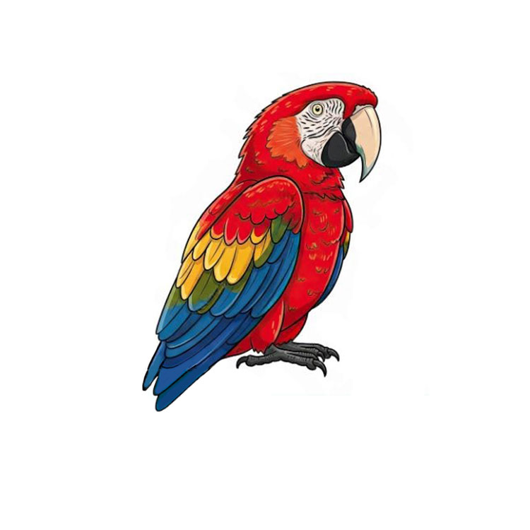 How to draw a parrot realistic