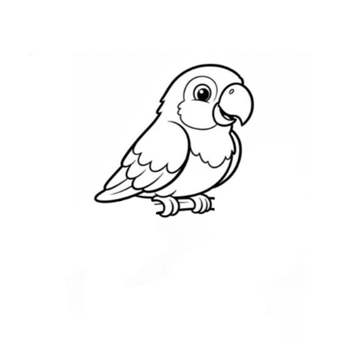 How to draw a parrot