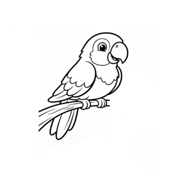 How to draw a parrot