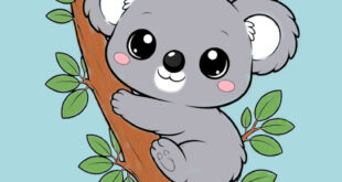 How to draw a koala