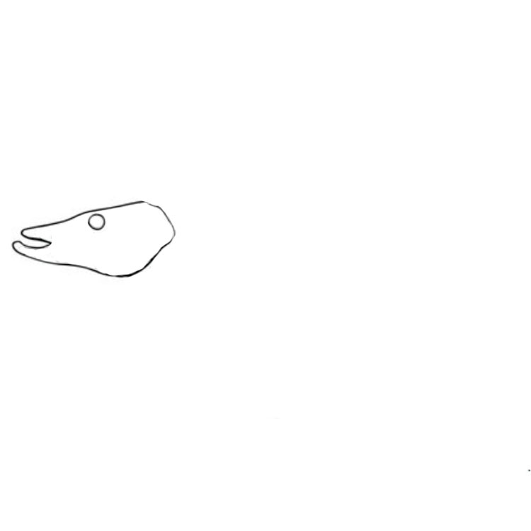 How to draw a pike
