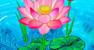 How to draw a lotus
